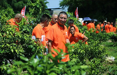 震驚：50元買一只紅蜘蛛？!——這一次，果農(nóng)們有話要說