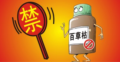 百草枯將被禁用?。繙缟猿輨┦袌鲞M入洗牌期，誰能搶占先機？                   來源于  農(nóng)資與市場  王奕