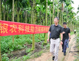 不斷創(chuàng)新納米農(nóng)藥，“銀農(nóng)三寶”助力檳榔提質(zhì)增收
